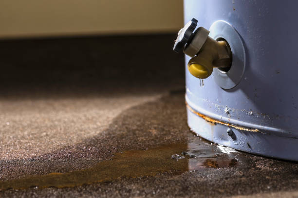  Pinole, CA Water damage restoration Pros