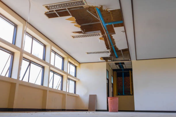 Best Carpet water damage restoration  in Pinole, CA