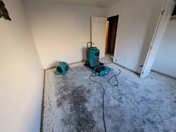 Best Water damage restoration company  in Pinole, CA