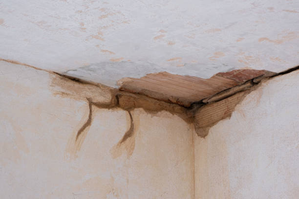 Best Residential water damage restoration  in Pinole, CA