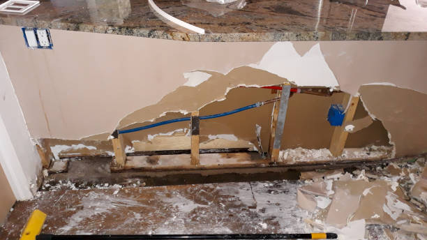 Best Flooded house restoration  in Pinole, CA