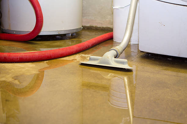 Best Fire Damage Restoration  in Pinole, CA