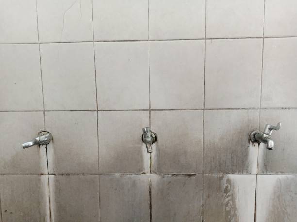 Best 24-hour water damage restoration  in Pinole, CA