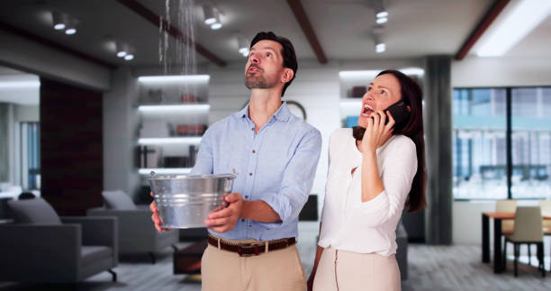 Best Water damage contractors near me  in Pinole, CA